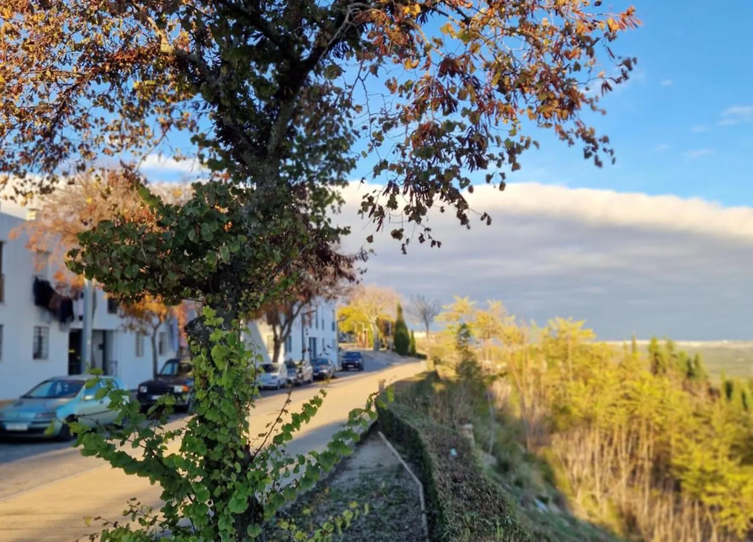 Apartamento V27 Baeza Appartement